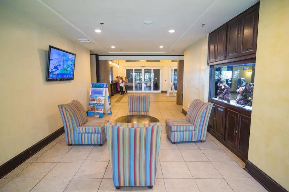 Shores Of Panama By Book That Aparthotel Panama City Beach